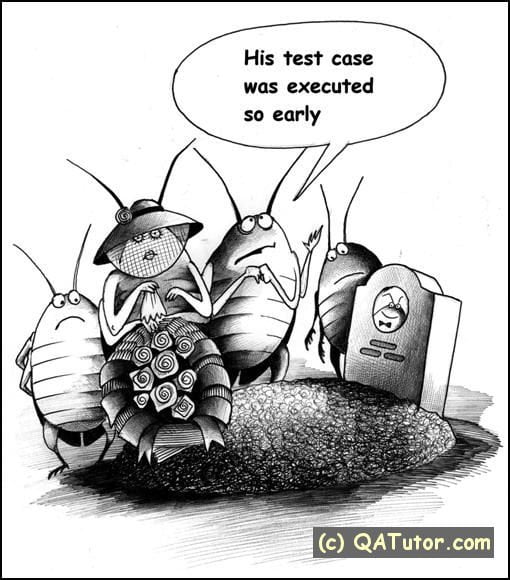 testcase
