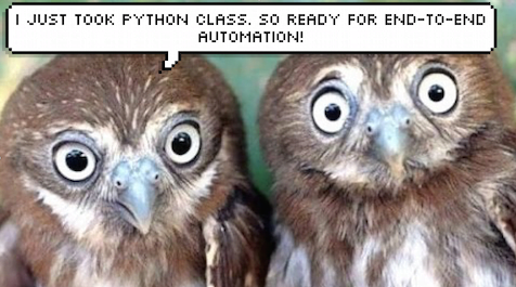 Learn manual QA first, then move to QA automation.
